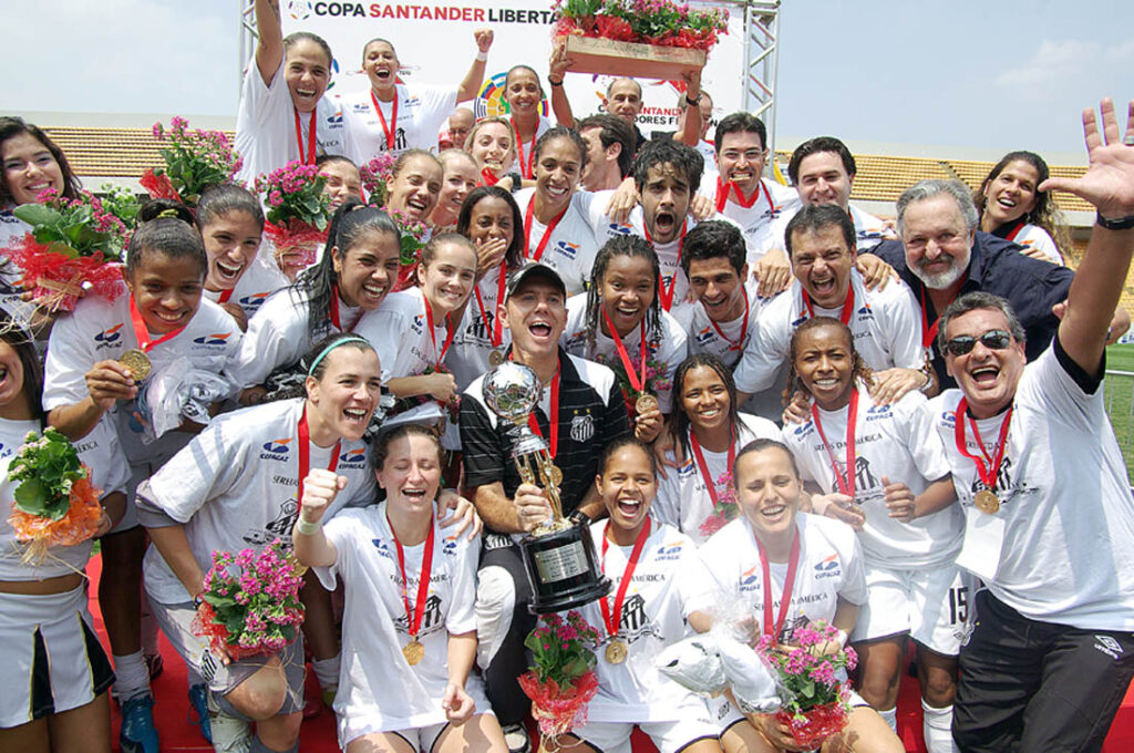 Santos Libertadores 2010