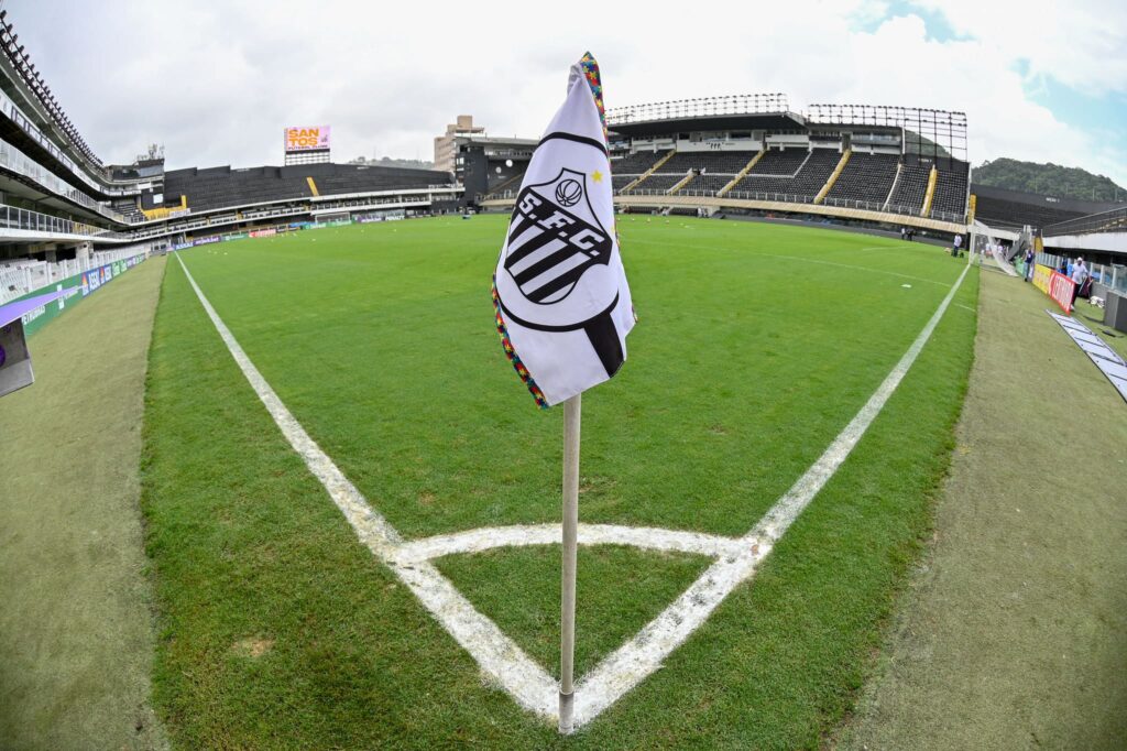 Santos vai encarar o Atlético-MG na Vila Belmiro (Foto: Bob Paulino/Ag.Paulistão)