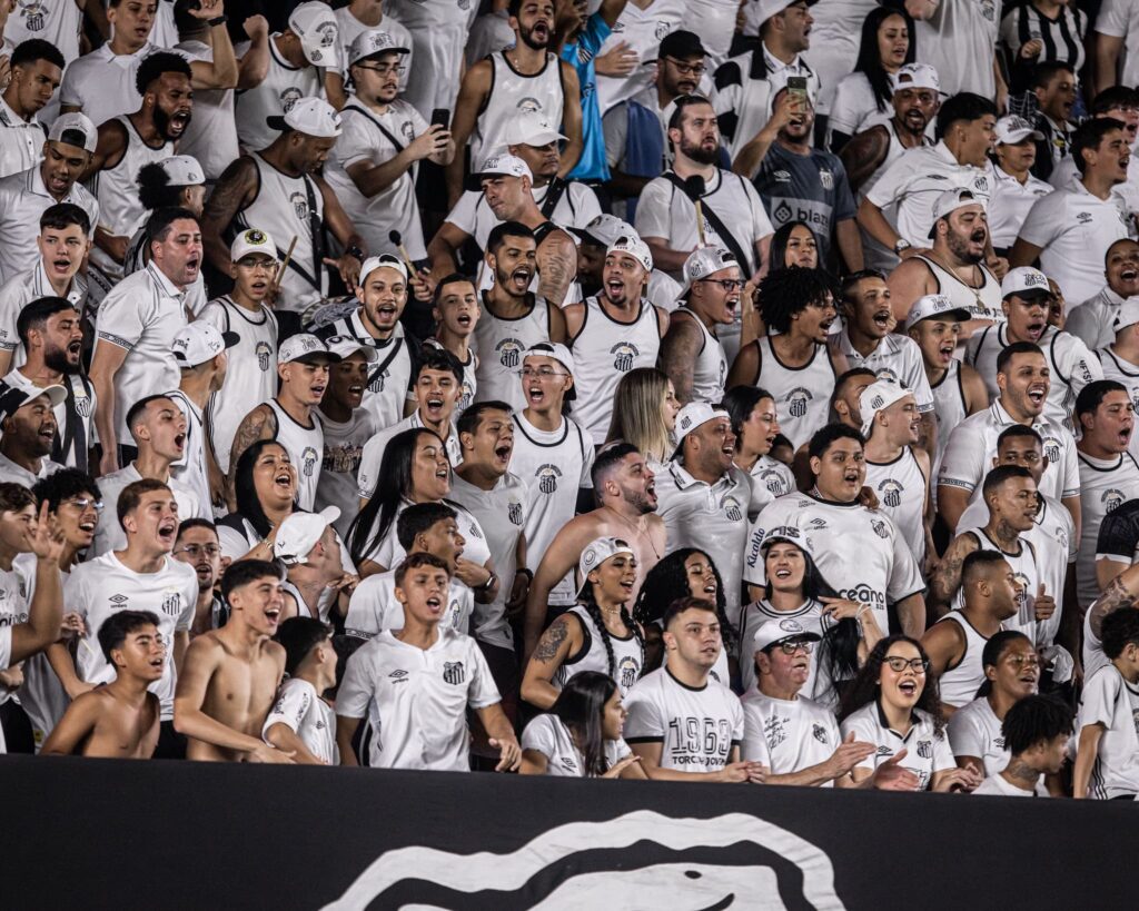 Santos vai mandar o jogo em Santo André (Foto: Divulgação)
