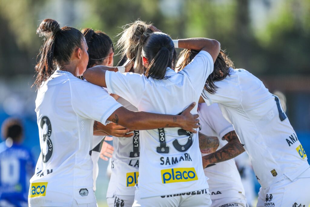 Santos encara o Botafogo (Foto: Reinaldo Campos/ Santos FC)