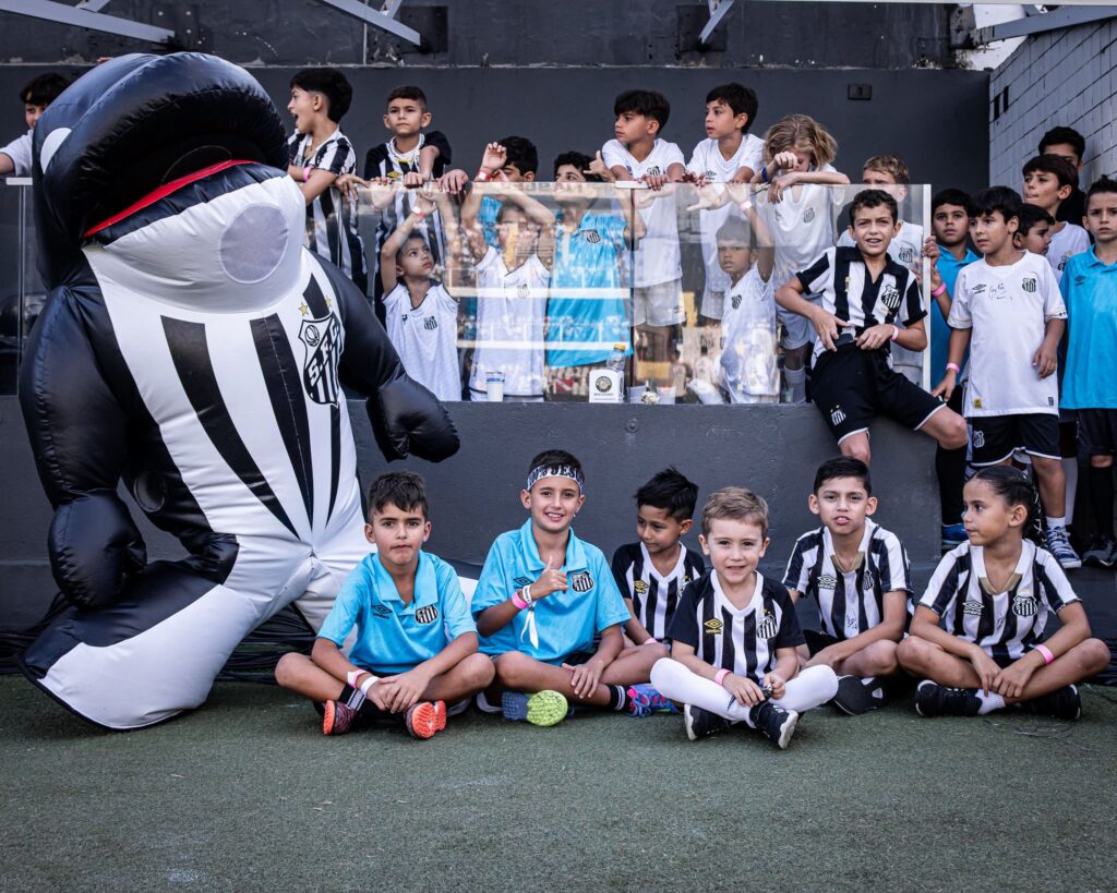Partida será na Vila Belmio (Foto: Reinaldo Campos/ Santos FC)