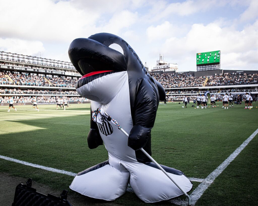 Santos encara o Ação-MT (Foto: Reinaldo Campos/ Santos FC)