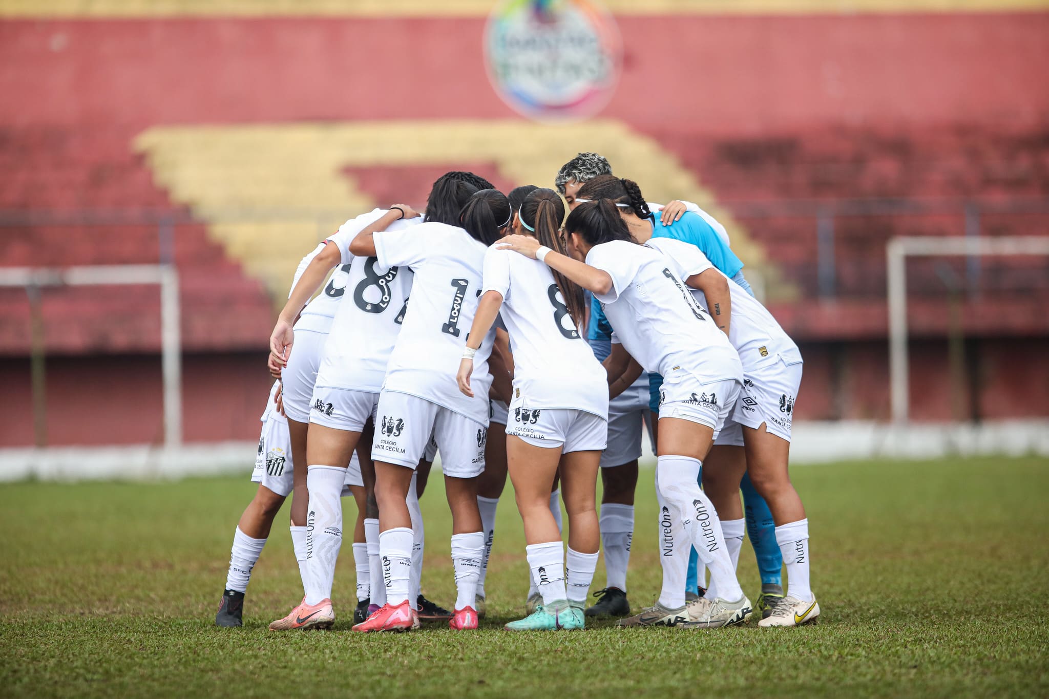 Santos enfrentam o Criciúma (Foto: Reinaldo Campos/ Santos FC)