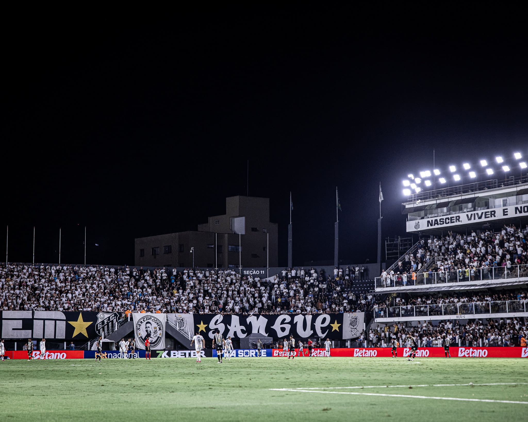 Santos precisa virar o placar (Foto: Raul Baretta/ Santos FC)