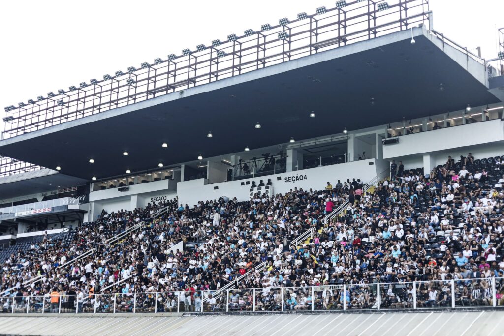 Santos teve seu melhor público do ano (Foto: Reinaldo Campos/ Santos FC)