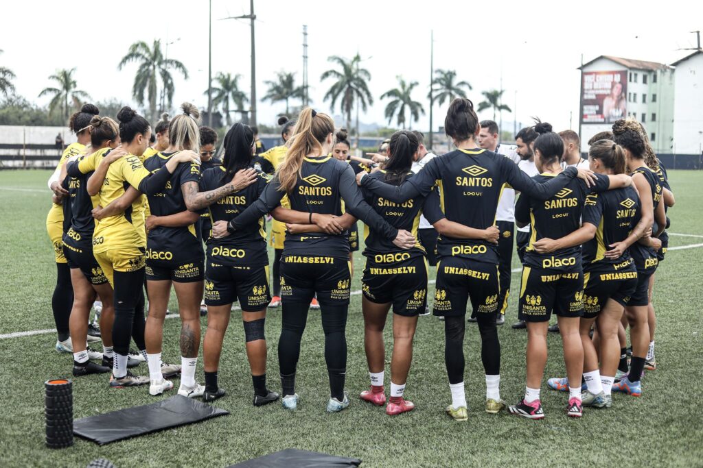 Santos recebe o Taubaté (Foto: Reinaldo Campos/ Santos FC)