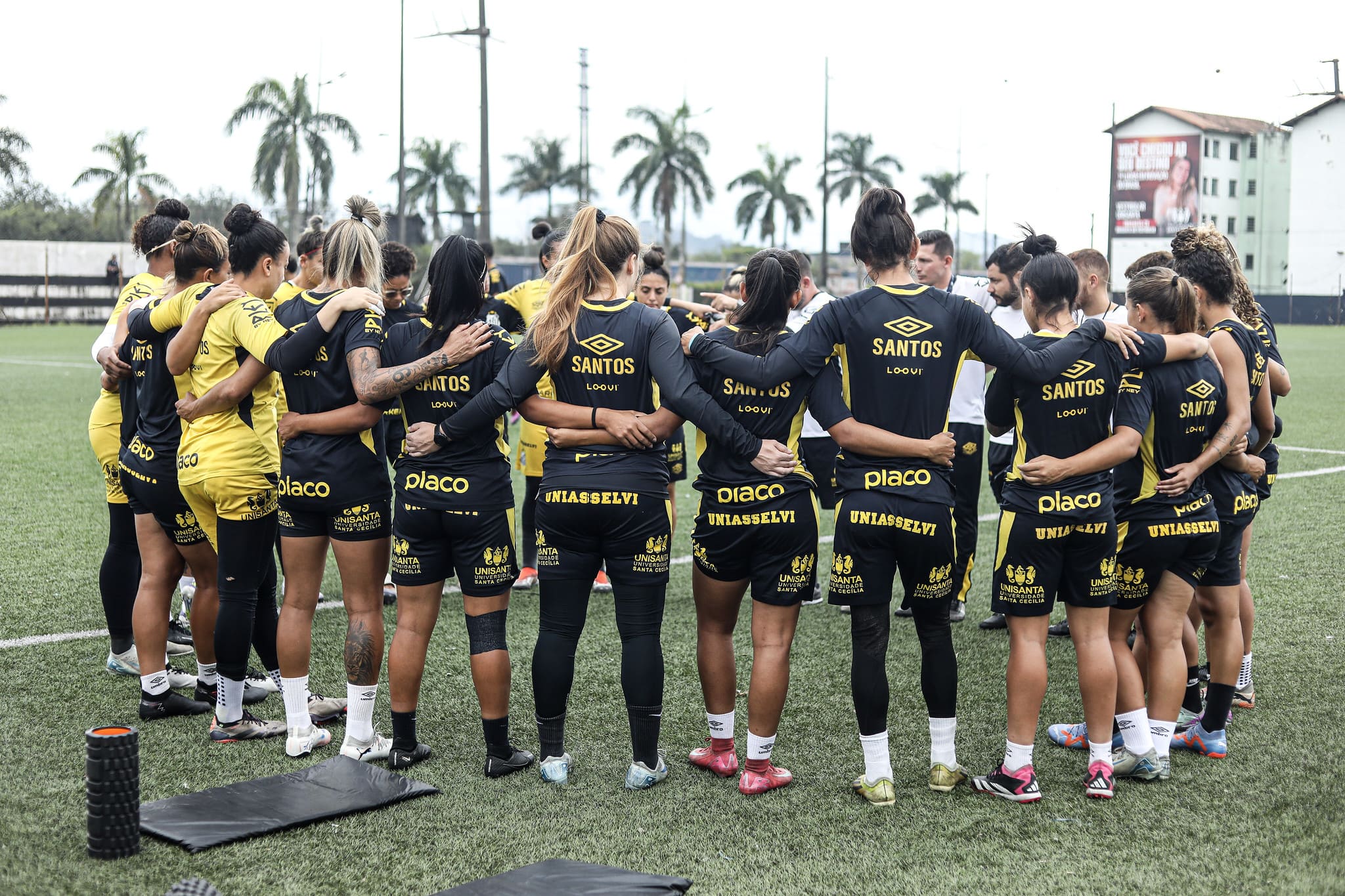 Santos recebe o Taubaté (Foto: Reinaldo Campos/ Santos FC)