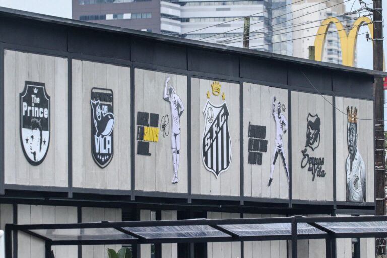 CT Rei Pelé (Foto: Reinaldo Campos/ Santos FC)