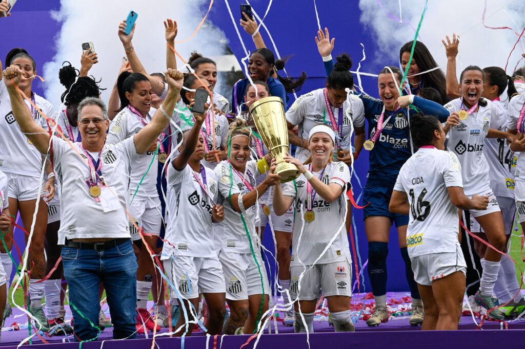 Santos disputa final da Copa Paulista (Foto: Foto: Bob Paulino/Ag.Paulistão/Centauro)