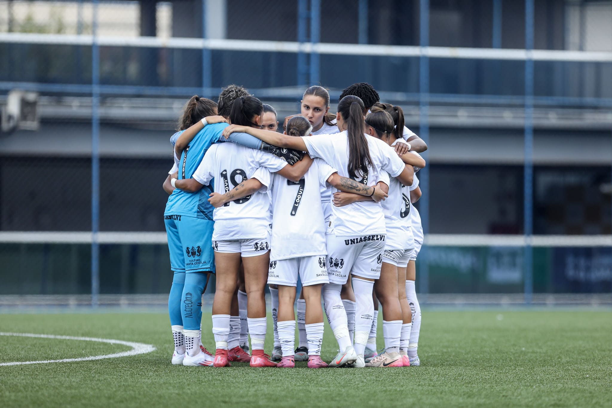 Santos encara o Fluminense (Foto: Reinaldo Campos/Santos FC)