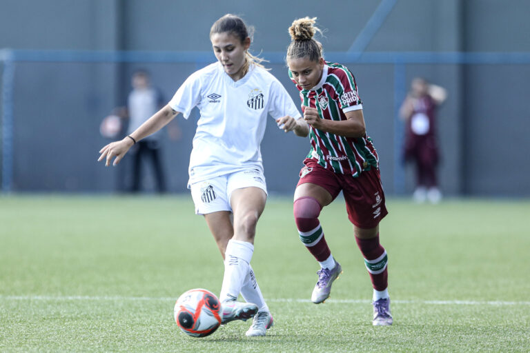 Santos encara o Fluminense (Foto: Reinaldo Campos/Santos FC)