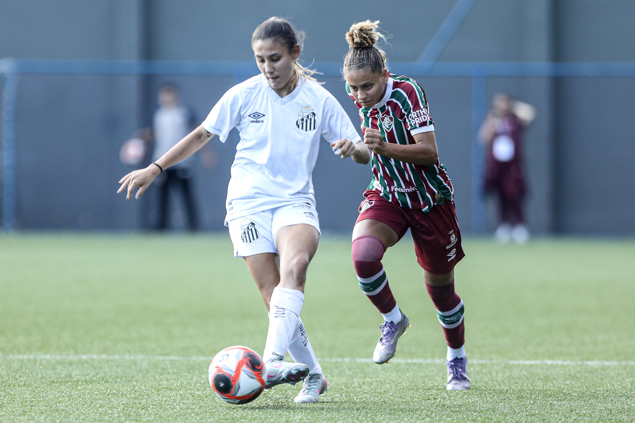 Santos encara o Fluminense (Foto: Reinaldo Campos/Santos FC)