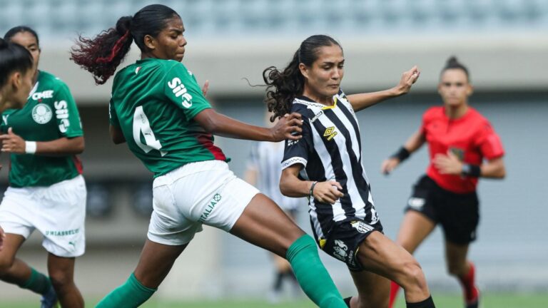 Sereinhas são derrotadas pelo Palmeiras no Brasileirão sub-20. (Foto: Reinaldo Campos/Santos F.C.)