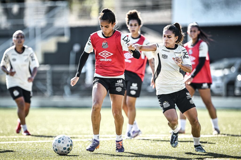 Santos enfrenta o Palmeiras fora de casa (Foto: Reinaldo Campos/ Santos FC)