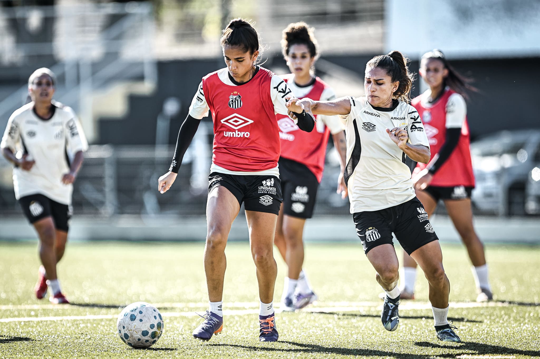 Santos enfrenta o Palmeiras fora de casa (Foto: Reinaldo Campos/ Santos FC)