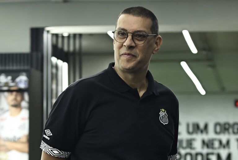 Marcelo Frigerio está liberado para comandar o Santos (Foto: Reinaldo Campos/ Santos FC)