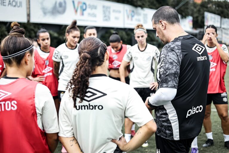 Santos busca entrar no G8 (Foto: Reinaldo Campos/ Santos FC)