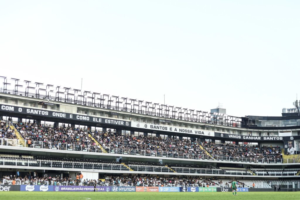 Santos x Palmeiras terá entrada gratuita (Foto: Reinaldo Campos/Santos FC)