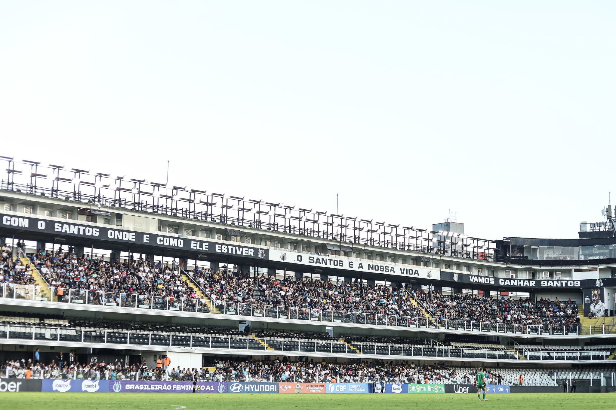 Santos x Palmeiras terá entrada gratuita (Foto: Reinaldo Campos/Santos FC)