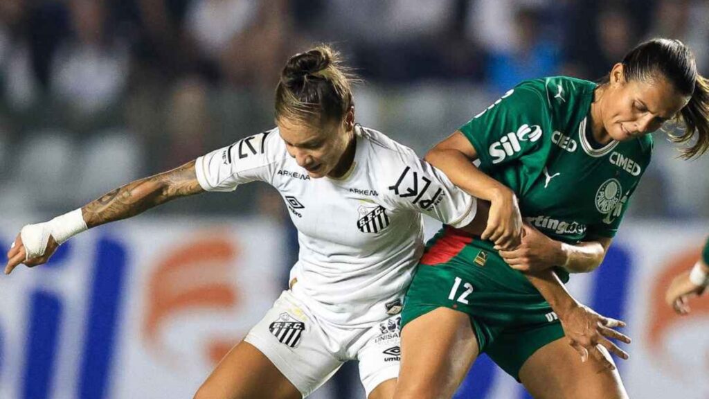 Santos e Palmeiras empatam sem gols pelo Paulistão F. (Foto: Fernanda Luz/Ag. Paulistão)