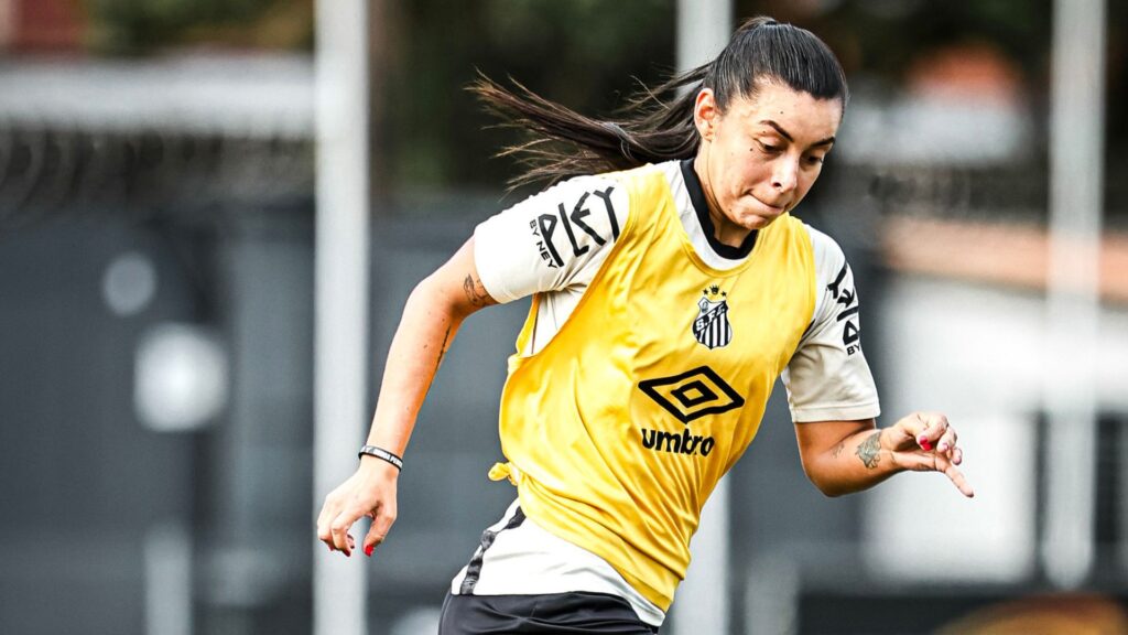 Yoreli sofreu lesão no tornozelo (Foto: Reinaldo Campos/Santos FC)