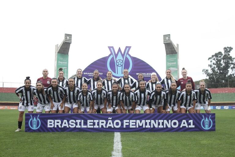 Elenco das Sereias da Vila encerrou a competição com diferentes participações em gols e assistências (Foto: Reinaldo Campos/Santos FC)