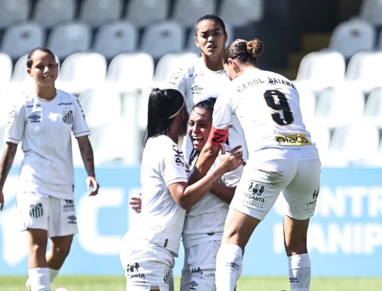 Santos ganha posições na briga pelo G8 após resultados da rodada (Foto: Reinaldo Campos/ Santos F.C)