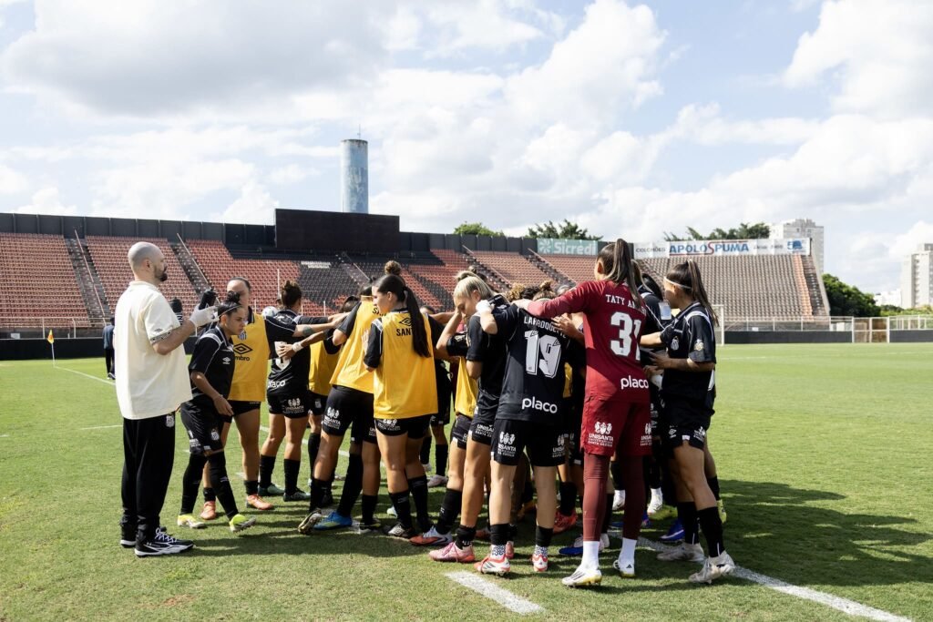 Santos venceu em partida amistosa (Foto: Reinaldo Campos/Santos FC)